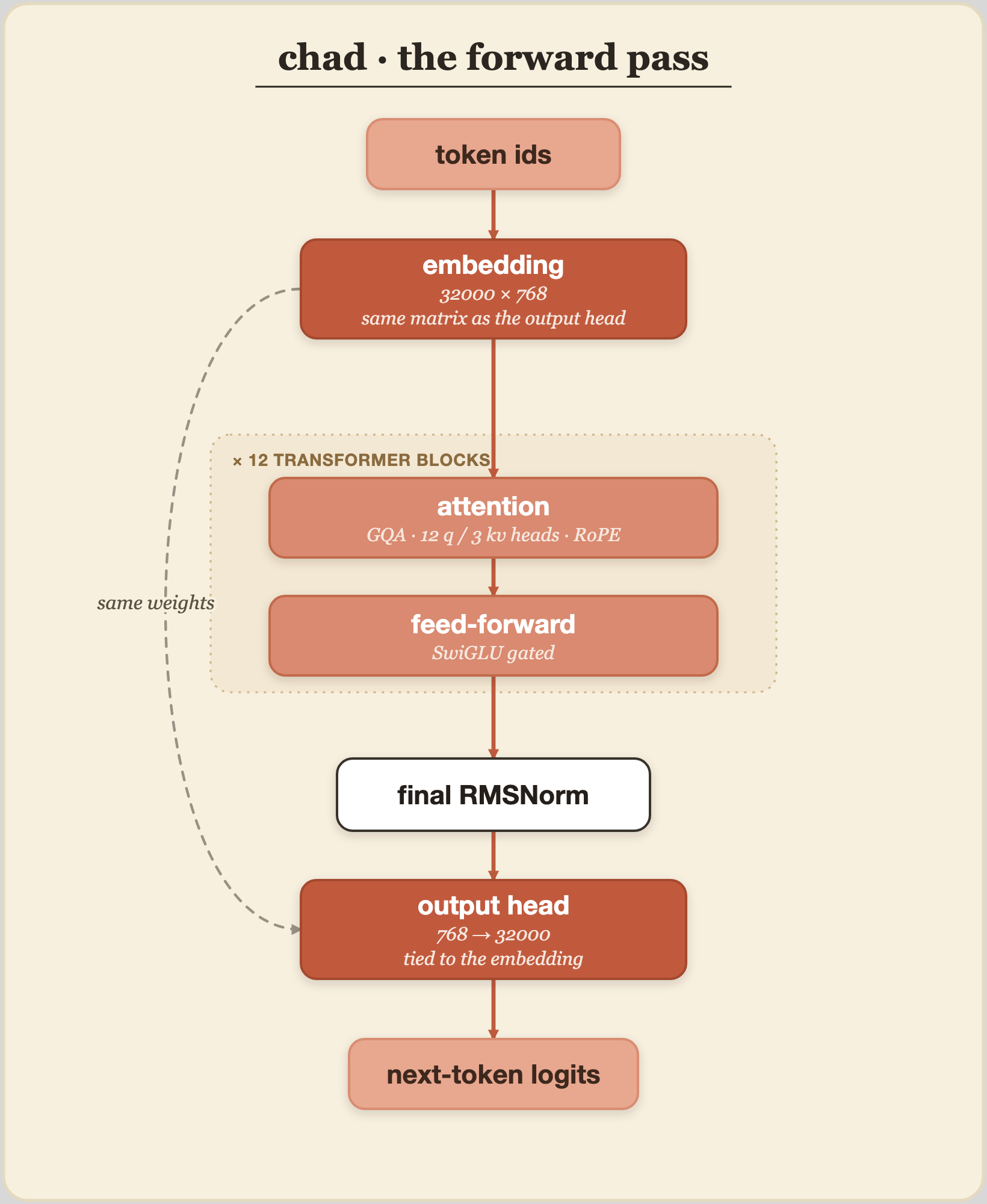 chad forward pass: token ids to a tied embedding, twelve transformer blocks of GQA attention and SwiGLU feed-forward, a final RMSNorm, a tied output head, then next-token logits